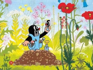 09_Krecik_i_spodenkii